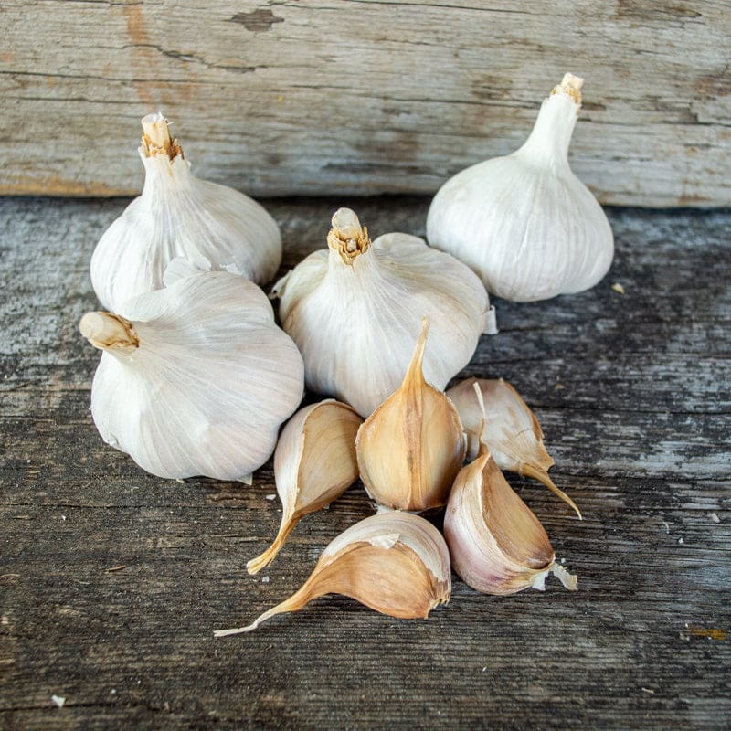 Hardneck Garlic-Killarney Red (Fall Planting)