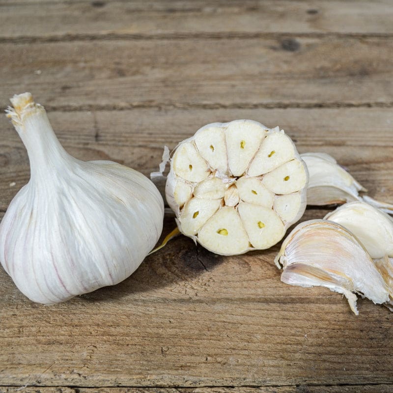 Hardneck Garlic-Persian Star (Fall Planting)