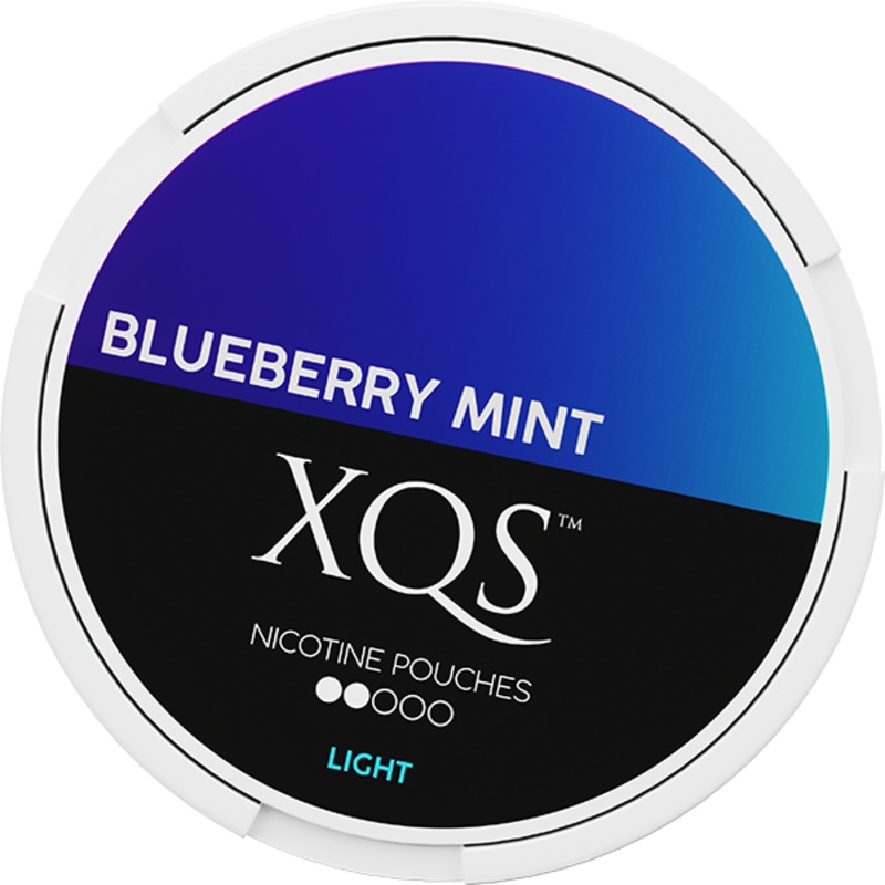 XQS Blueberry Mint|1 pc|10 pcs