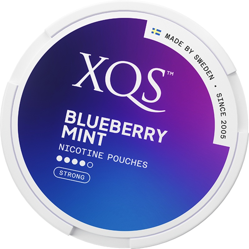 XQS Blueberry Mint Strong|1 pc|10 pcs