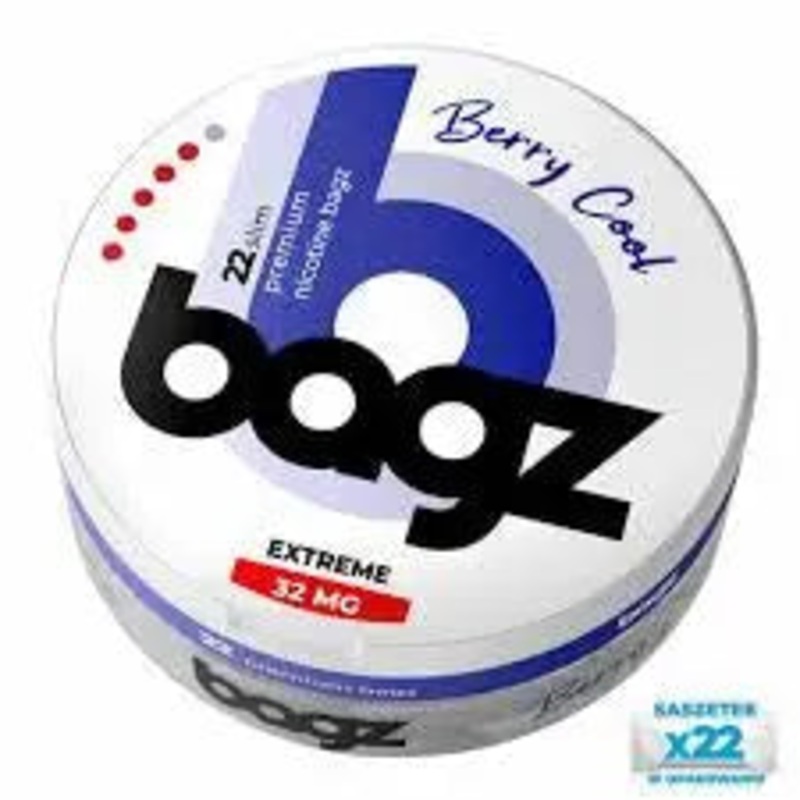 Bagz – Berry Cool (22mg)