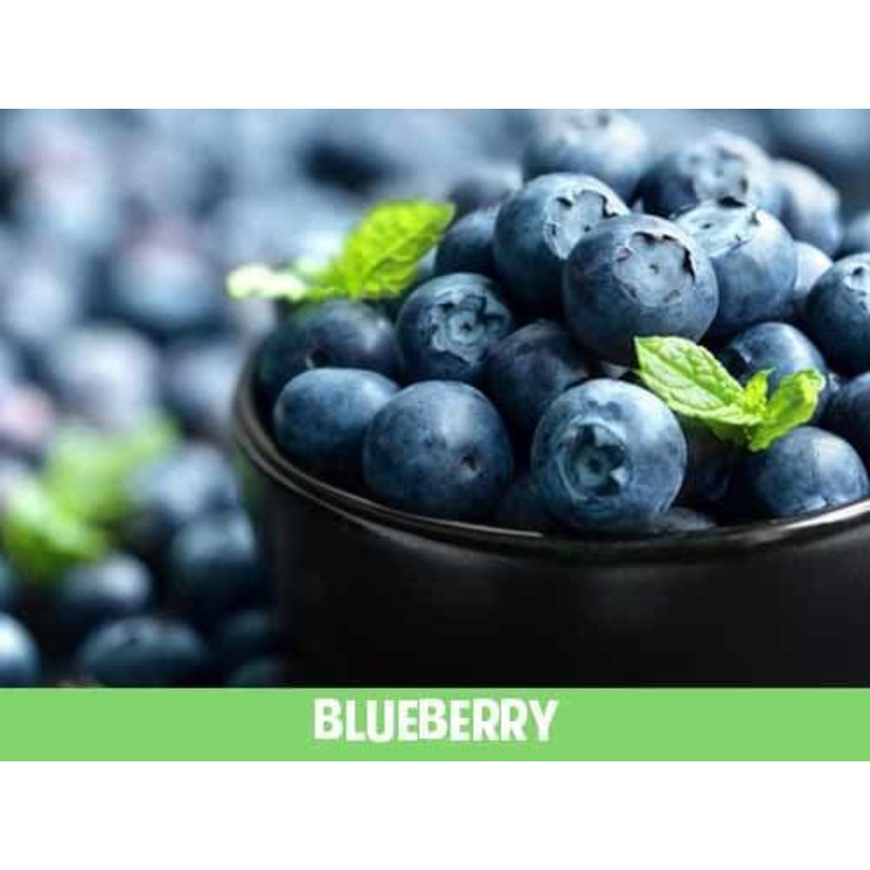 Blueberry Eliquid|0mg|4mg|8mg|16mg