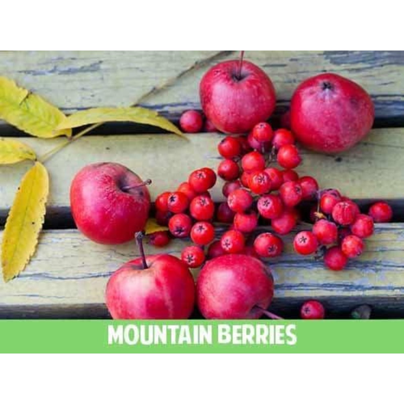 Mountain Berries Eliquid|0mg|4mg|8mg