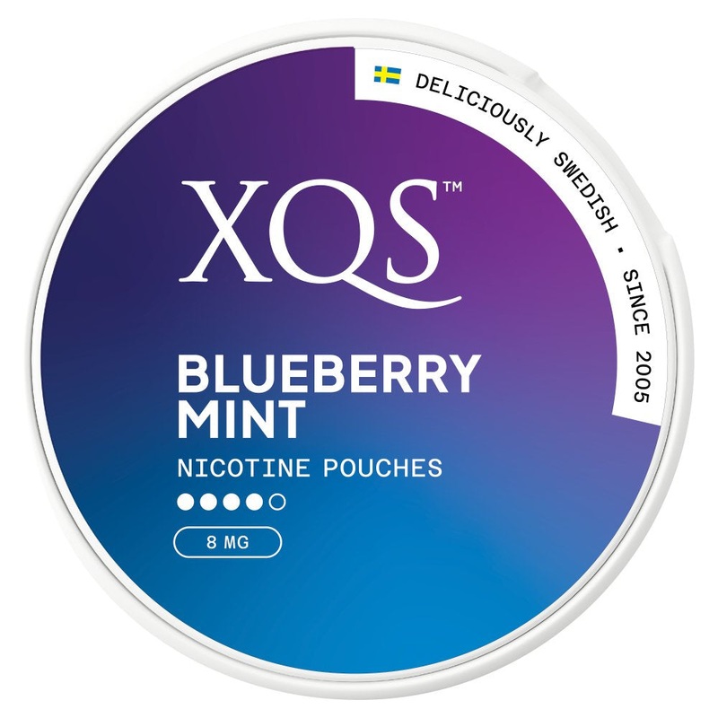 XQS – Blueberry Mint (8mg)