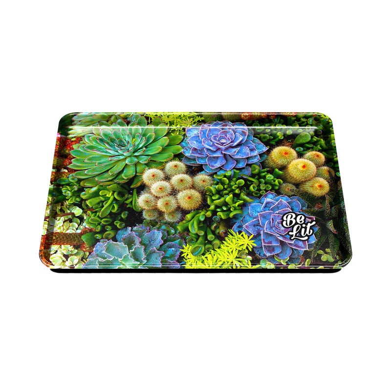 Be Lit – Medium Rolling Tray|Succulents|Cloudy|Big Sur Forest